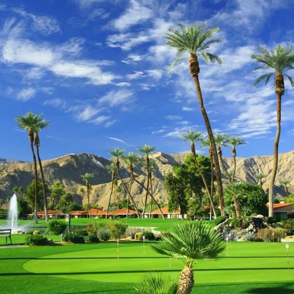 Meet your Posher, Lori - Picture 3 of 4